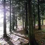 Bed and breakfast Plumes Et Pinceaux 3*