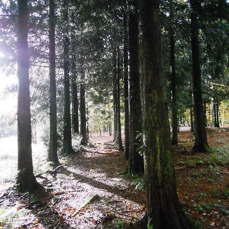 Frühstückspension Plumes Et Pinceaux 3*