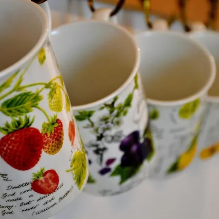 Plumes Et Pinceaux Bed and breakfast