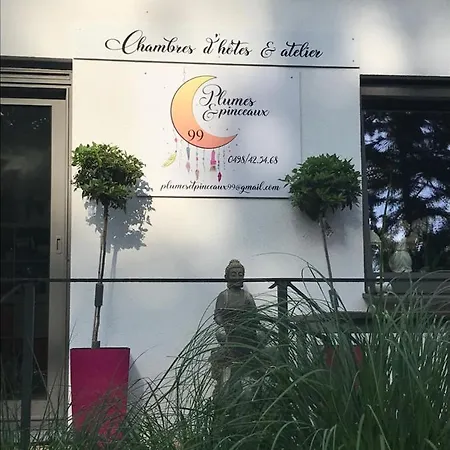 Plumes Et Pinceaux Bed & Breakfast Redu