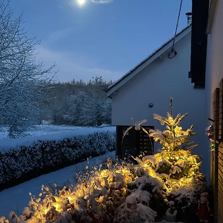 Plumes Et Pinceaux 3*