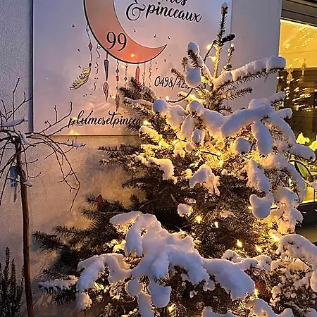 Plumes Et Pinceaux Bed & Breakfast